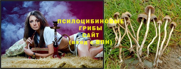 тгк Гусь-Хрустальный