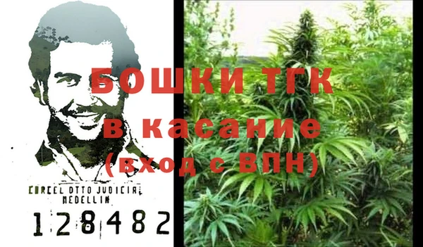 тгк Гусь-Хрустальный