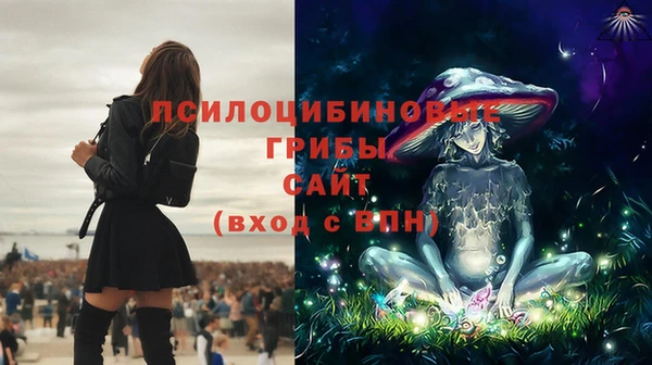 COCAINE Гусиноозёрск